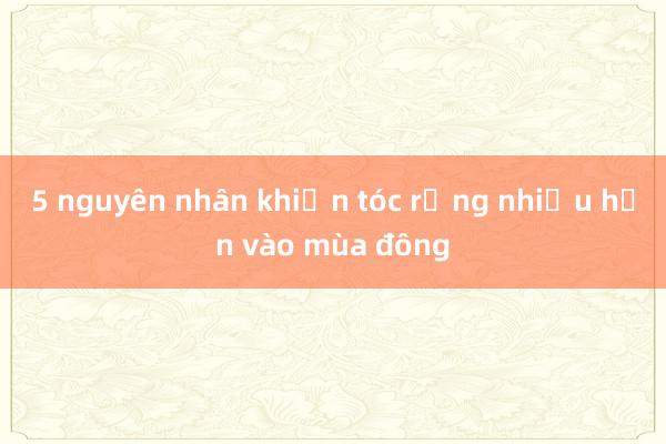 5 nguyên nhân khiến tóc rụng nhiều hơn vào mùa đông