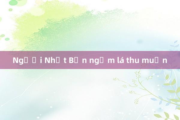 Người Nhật Bản ngắm lá thu muộn