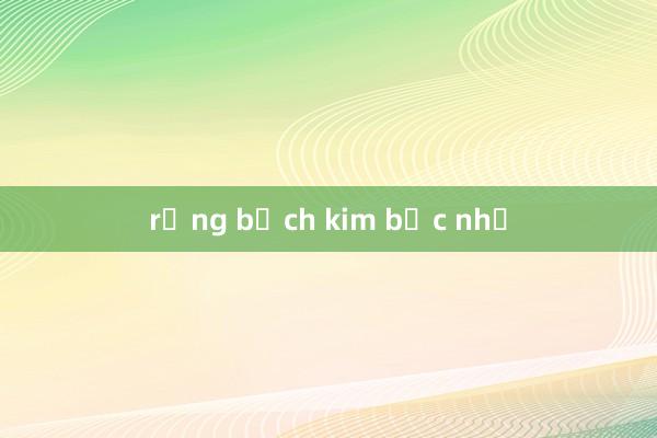 rồng bạch kim bạc nhớ
