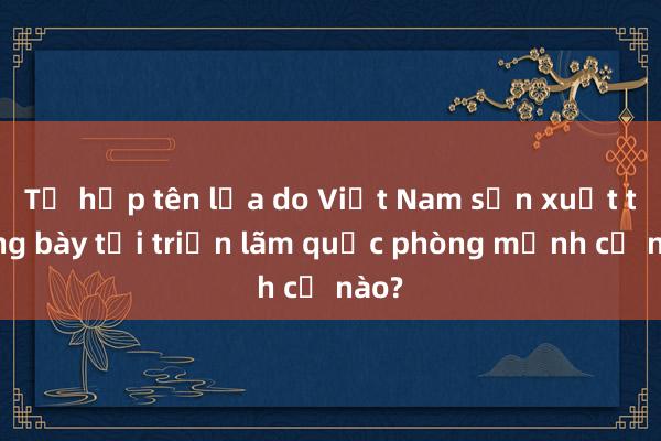 Tổ hợp tên lửa do Việt Nam sản xuất trưng bày tại triển lãm quốc phòng mạnh cỡ nào?