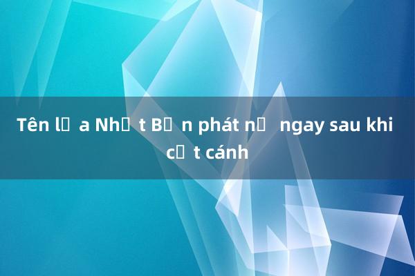 Tên lửa Nhật Bản phát nổ ngay sau khi cất cánh